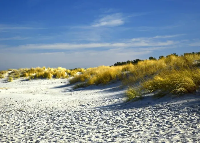 Holiday home Sloneczny Dworek *